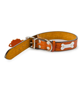 Pet Harness