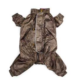 Pet Out Fits