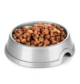 Pet Food