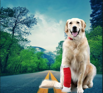 Arthroscopy